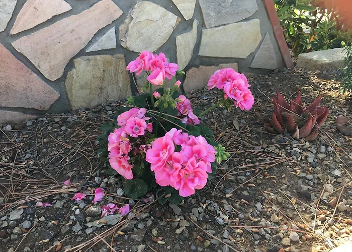 Mandel By Mandel Club