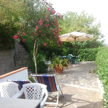 Mandel By Mandel Club