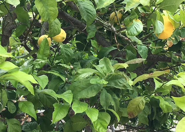 Mandel By Mandel Club 4* Capoliveri (Isola d'Elba)