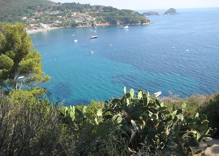 Mandel By Mandel Club 3*