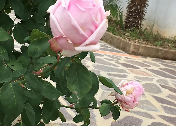 Mandel By Mandel Club Aparthotel Capoliveri (Isola d'Elba)